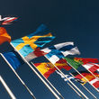 International Mobility